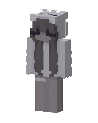 Gray Bear Hoodie skin, 3D preview