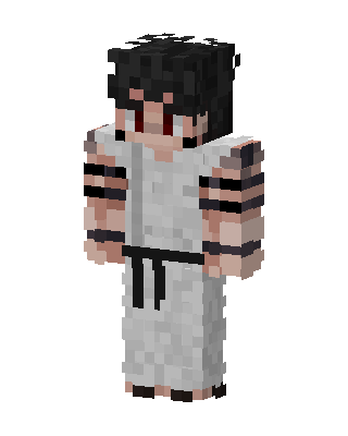 Karate Fighter Minecraft skin