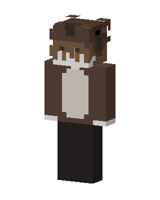 Brown Bear Hoodie skin, 3D preview