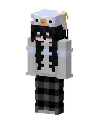Penguin Hoodie Girl Minecraft skin