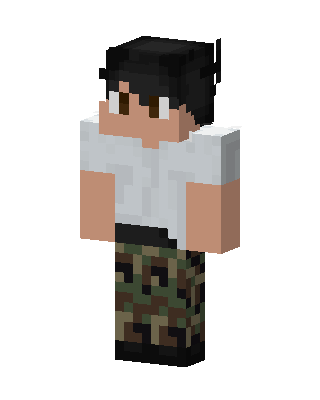 Camo Casual skin, 3D preview