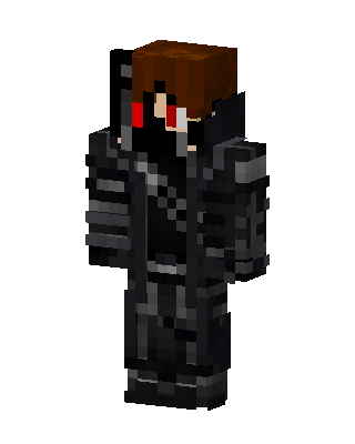 Shadow Knight skin, 3D preview
