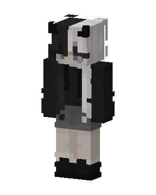 Panda Hoodie Girl skin, 3D preview