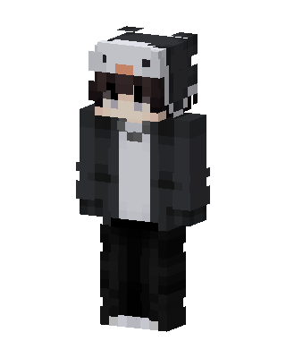 Panda Hoodie Boy skin, 3D preview