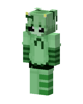 Green Frog Hoodie skin, 3D preview