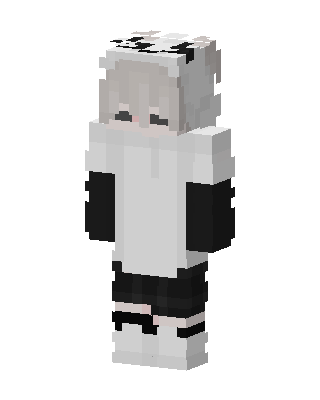 Panda Hoodie Boy skin, 3D preview