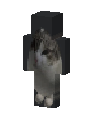Sad Cat Meme skin, 3D preview