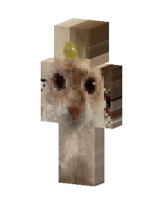 Grumpy Cat skin, 3D preview