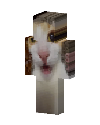 Surprised Cat Minecraft skin