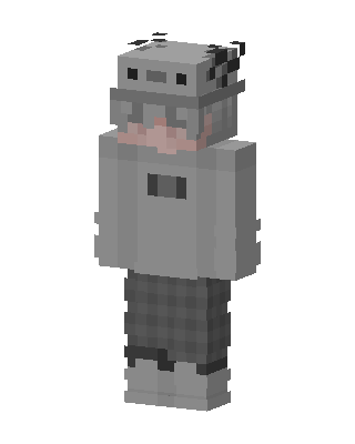 Gray Raccoon Hoodie skin, 3D preview