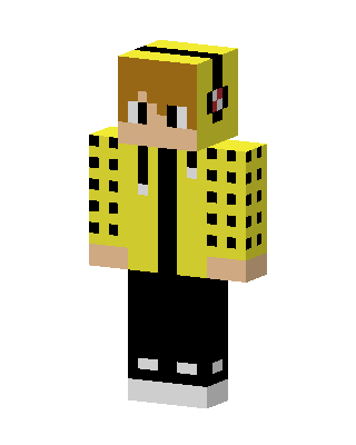 Bee Hoodie Boy skin, 3D preview