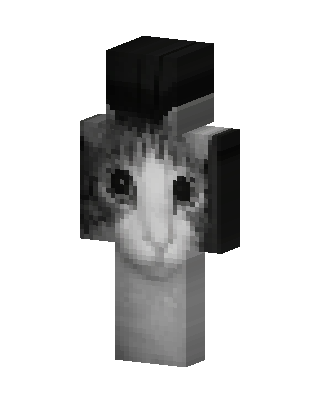 Sad Cat Meme skin, 3D preview