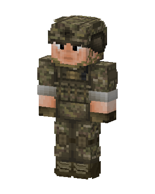 Camo Soldier skin, 3D preview