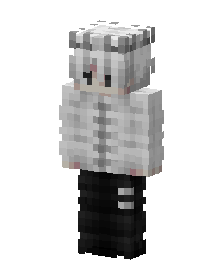 Snowy Hoodie Boy skin, 3D preview