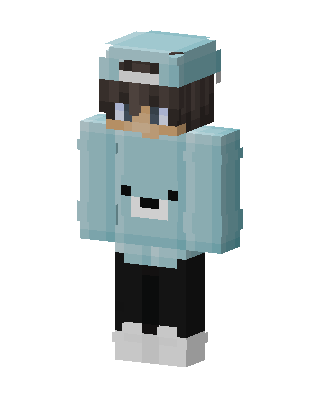 Bear Hoodie Boy skin, 3D preview