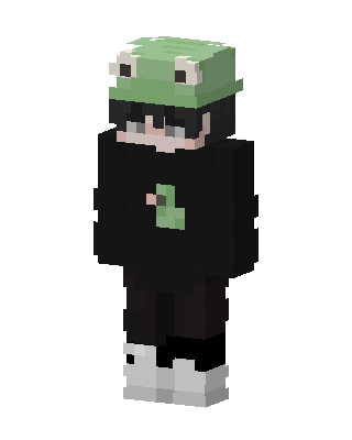 Frog Hat Hoodie skin, 3D preview