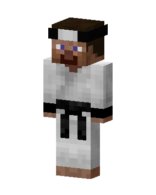 Karate Master Minecraft skin