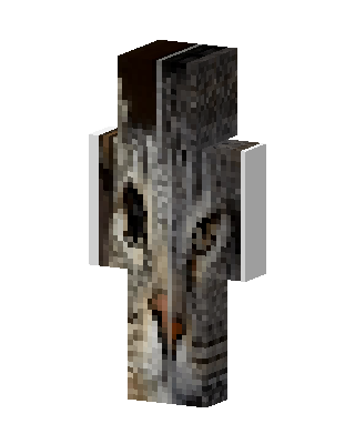 Tabby Cat Face Minecraft skin