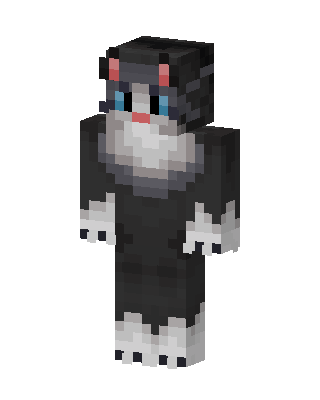 Black Cat Minecraft skin