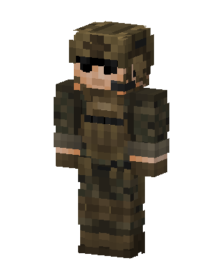 Woodland Soldier skin, 3D preview