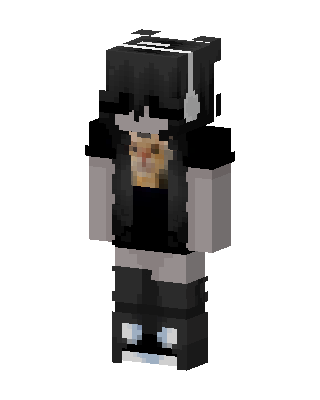 Headphone Hoodie skin, 3D preview