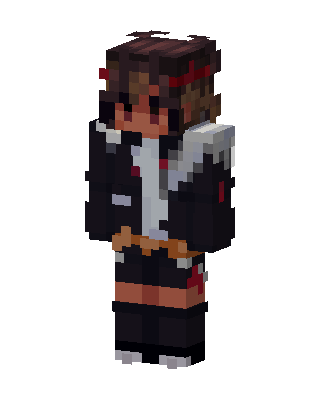 Black Ninja skin, 3D preview