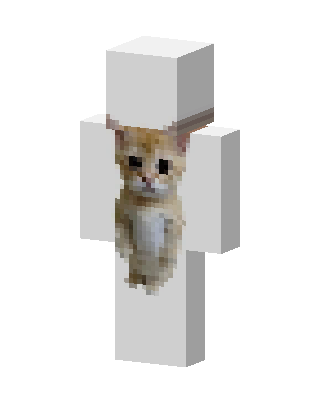 Orange Kitten skin, 3D preview