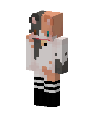 White Player Girl Minecraft white skin