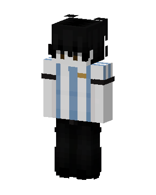 Albiceleste Jersey skin, 3D preview