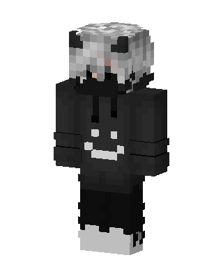 Shadow Hoodie Boy skin, 3D preview