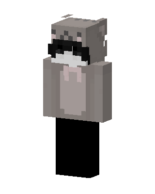 Raccoon Hoodie skin, 3D preview