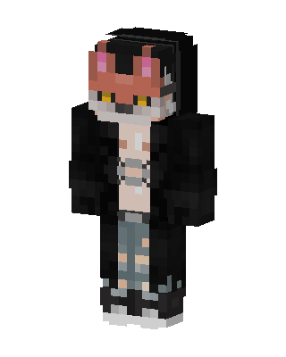 Fox Hoodie Boy skin, 3D preview