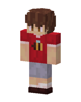 Bee Shirt Boy skin, 3D preview