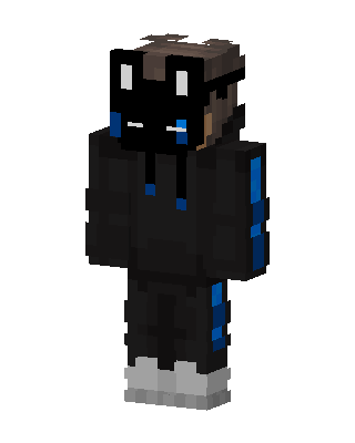 Shadow Cat Hoodie skin, 3D preview