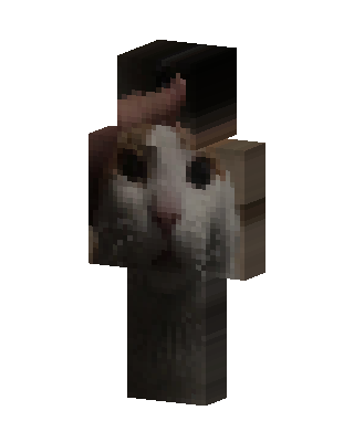 Gray Player Boy Minecraft skin