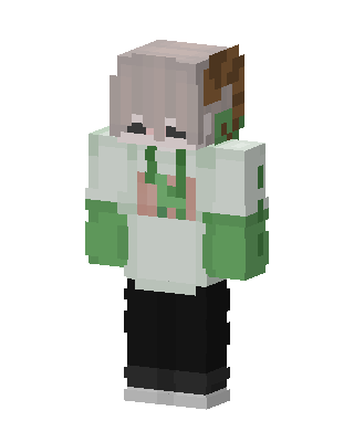 Creeper Hoodie Boy skin, 3D preview