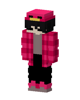Pink Plaid Hoodie skin, 3D preview