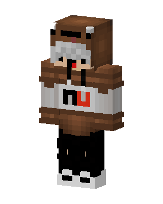 Bear Hoodie Boy skin, 3D preview