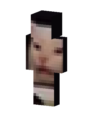 Pixel Face Meme skin, 3D preview