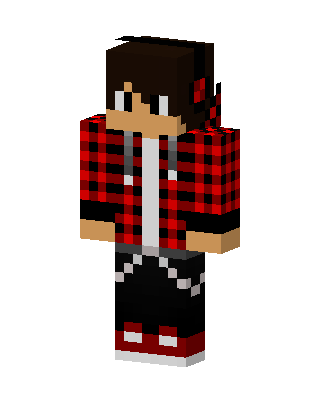 Red Plaid Hoodie skin, 3D preview