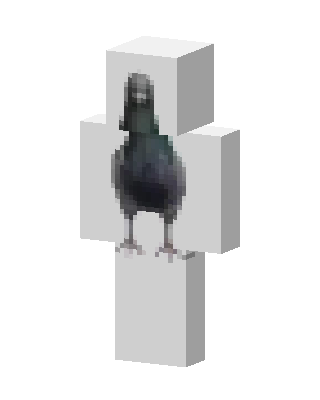 Pigeon skin, 3D preview