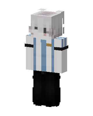 Albiceleste Fan skin, 3D preview