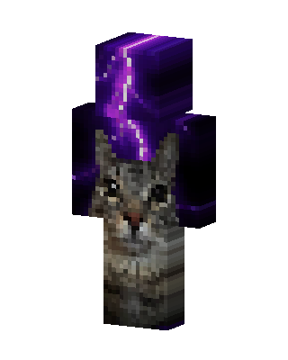 Purple Wizard skin, 3D preview