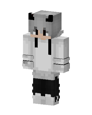 Panda Hoodie Boy skin, 3D preview