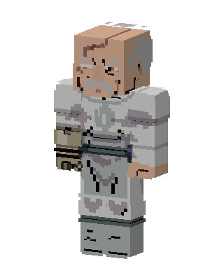 Old White Wizard Minecraft knight skin