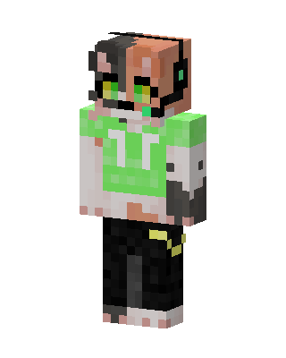 Green Gamer Boy Minecraft skin