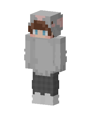 Koala Hoodie Boy skin, 3D preview