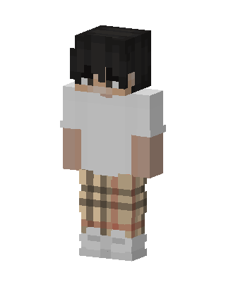 Plaid Streetwear skin, 3D preview
