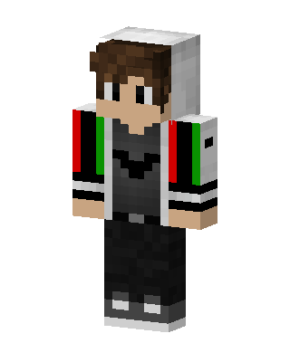 Flag Sleeve Hoodie skin, 3D preview