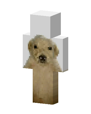 Golden Retriever skin, 3D preview